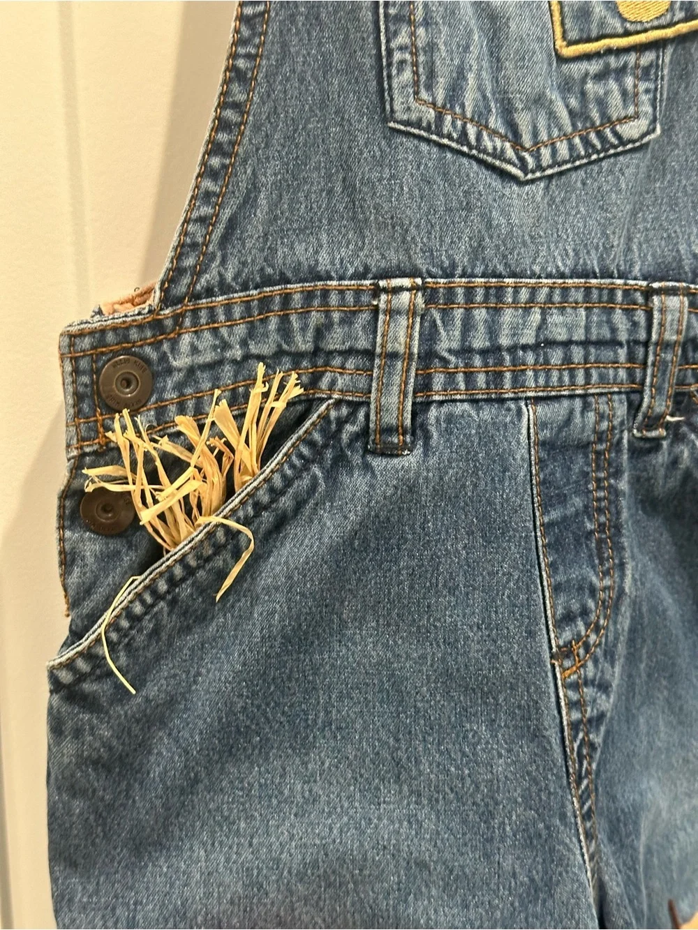 Papagino blue denim
